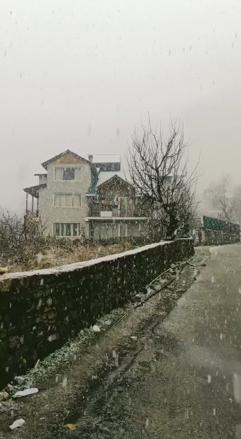 Twelve second snowfall video of Skye Meadows in Manali